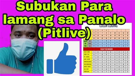 color coding manok panabong|Subukang gamitin ang Color Coding sa Pitlive para lamang sa.